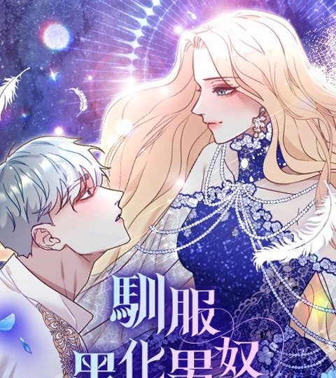 馴服黑化男奴封面